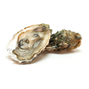 Oesters Zeeuwse Bio Creuze Nr 3-12
